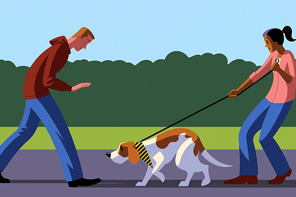600x400-dog-walking-etiquette