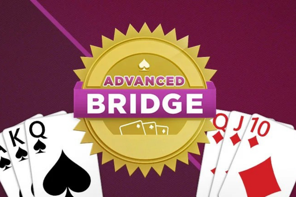 AARP Games Advanced Bridge.