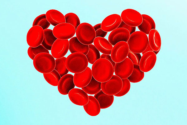 heart made of red blood cells