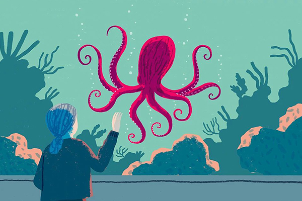 A scene from Remarkably Bright Creatures.