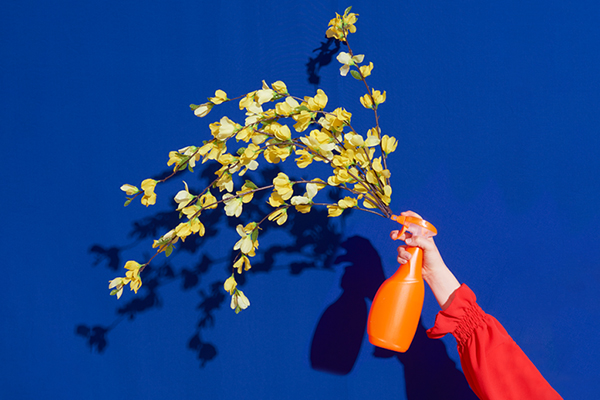 Spray bottle dispensing blooming flowers.