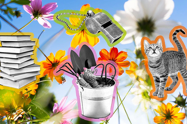 Collage of imagery representing various occupations.