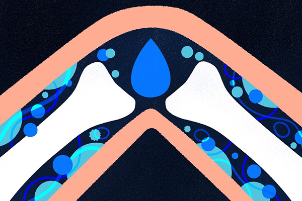 Illustration of an x-ray of a person’s joint.