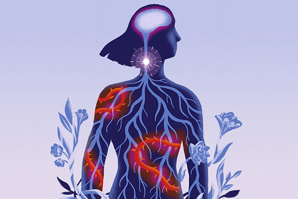 Illustration of a person’s nervous system.