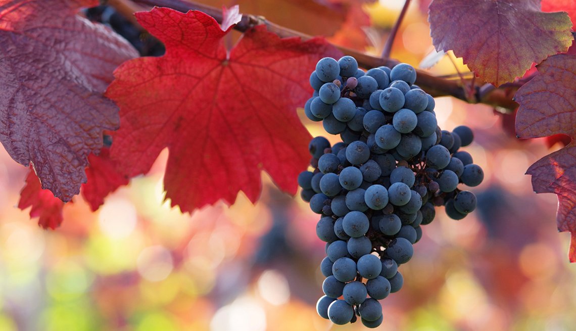 Bodegas y viñedos - Carlson, Bodega de Maui, Stone Hill, Long Shadows