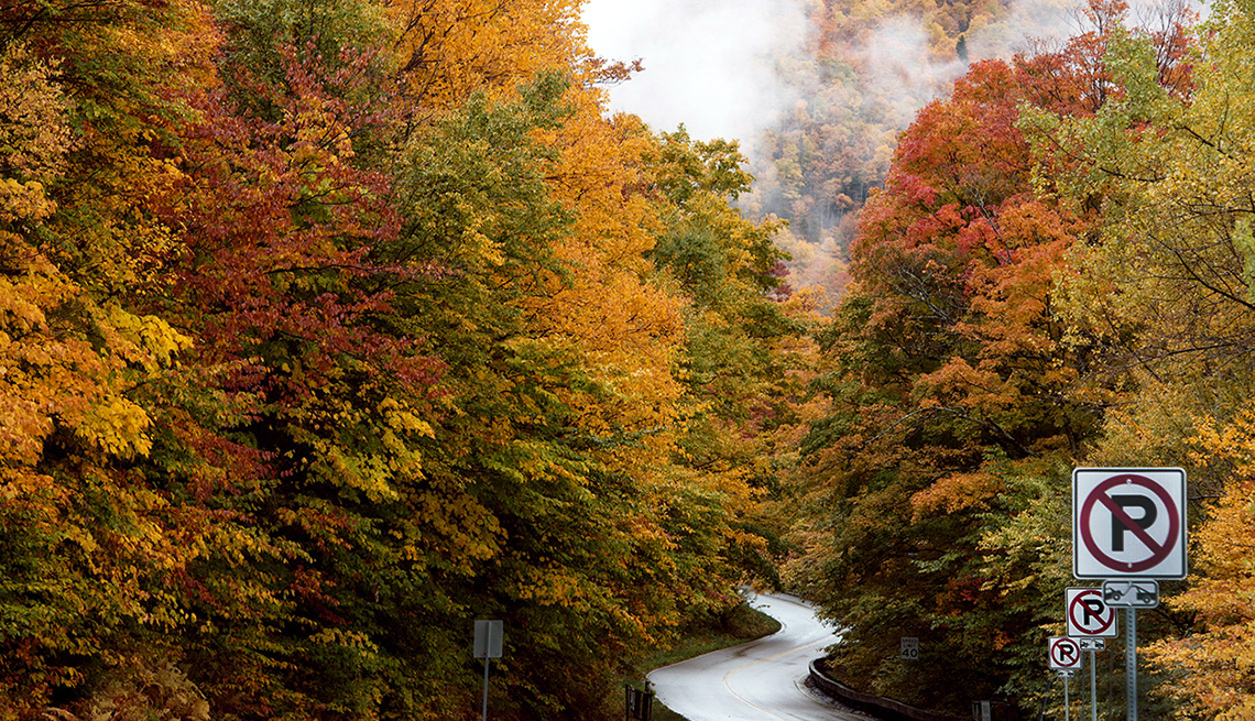 Viajes para observar los paisajes de otoño