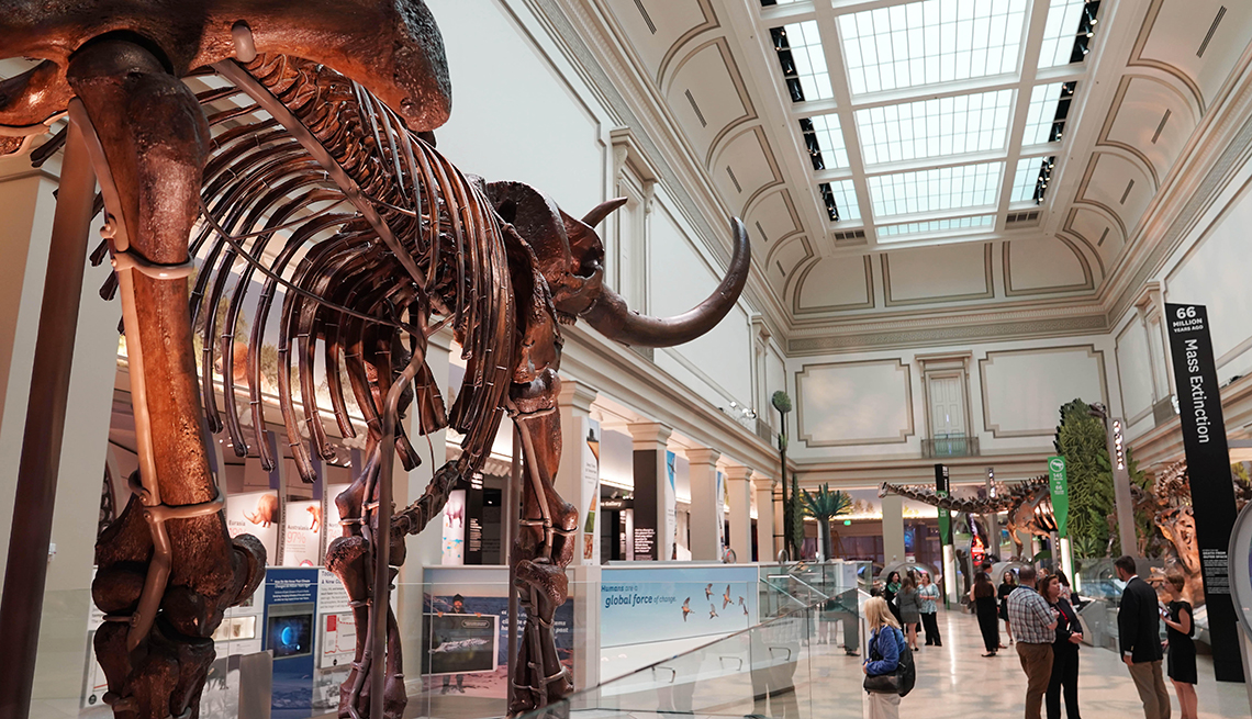 Gente visita la nueva sala de dinosaurios y fósiles del Museo Nacional de Historia Natural del Smithsonian en Washington, D.C.