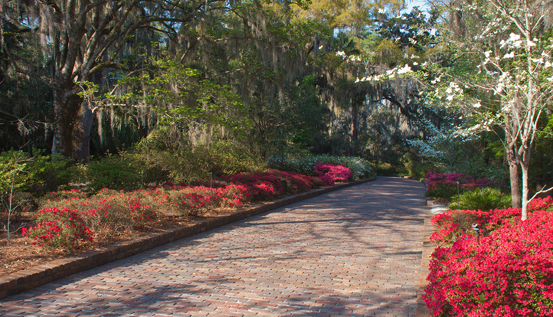 A walking path with red flowers on the sides in Tallahassee Florida