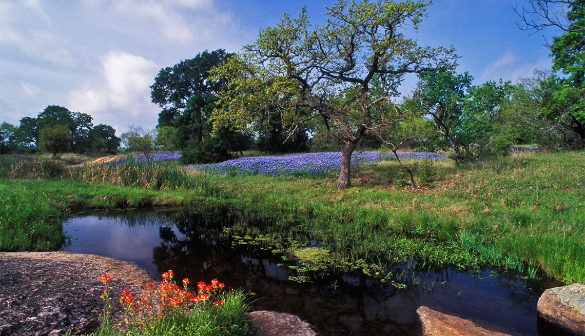 item 6 of Gallery image - Live Oak Small Pond Near Marble Falls Texas