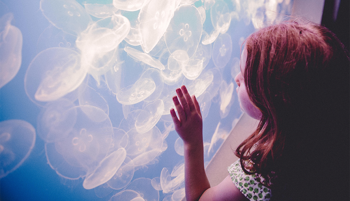 Girl watching jellyfish in aquarium