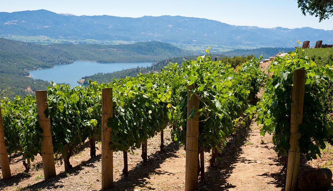 Guide to Visiting Napa for All Budgets