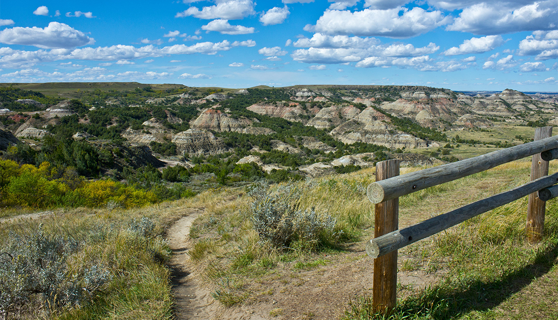 Guía para el Parque Nacional Theodore Roosevelt