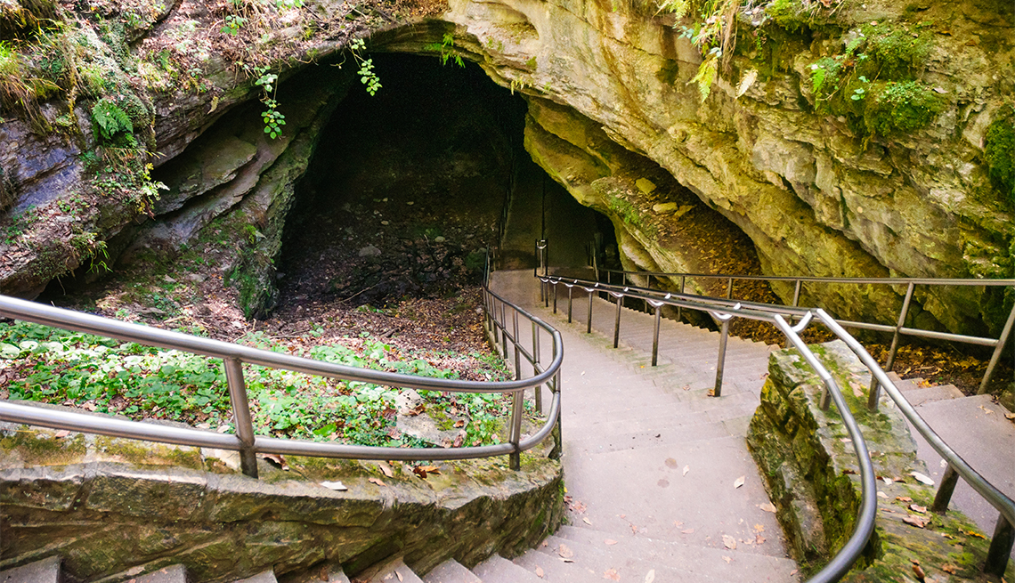 item 3 of Gallery image - Mammoth Cave National Park