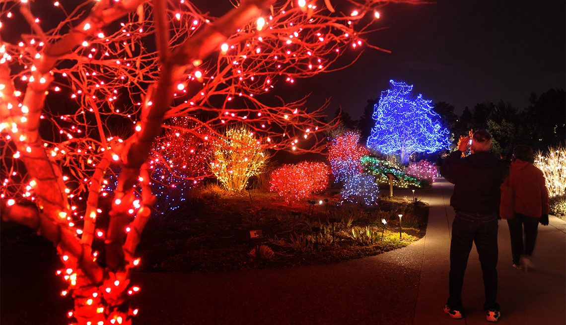 8 Botanical Garden Holiday Light Displays