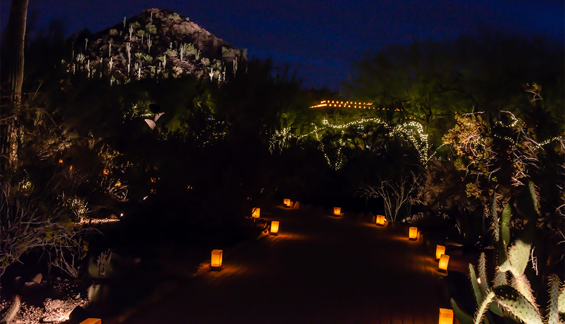 item 2 of Gallery image - Luminarias y luces del jardín botánico del desierto