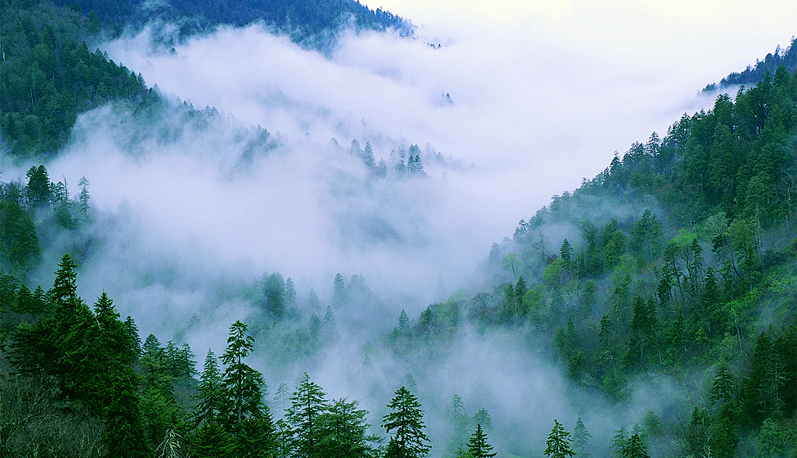 Montañas con niebla en el Parque Nacional de las Grandes Montañas Humeantes