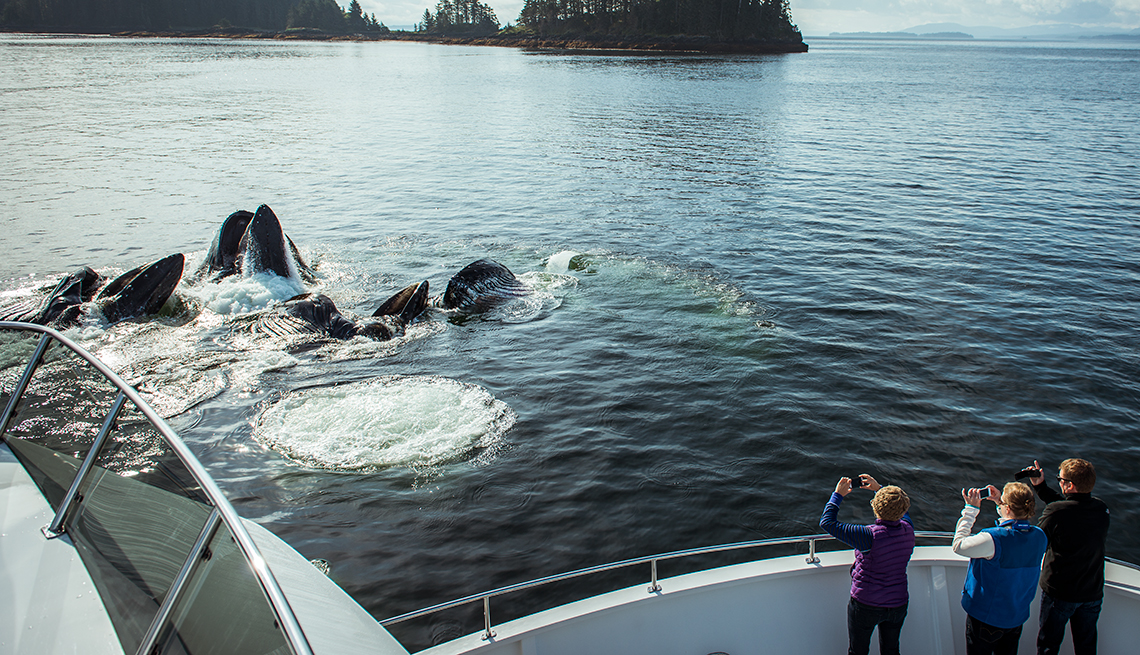 Tourists Photograph Whales from Alaskan cruise ship, Great American Cruises