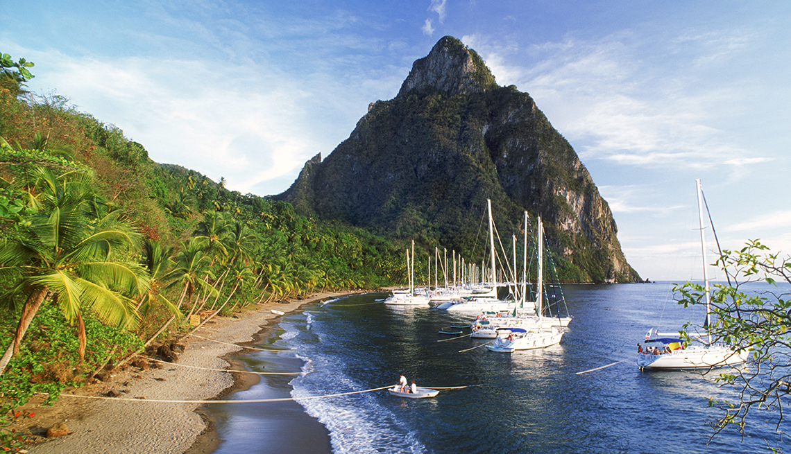 Sailboats anchored by palm tree lined beach with mountain