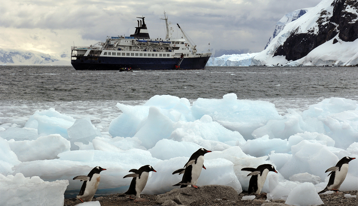 item 2 of Gallery image - A cruise ship in Niko Harbour off the coast of Antarctica - tourists in zodiac boats coming ashore and Penguins running through the ice