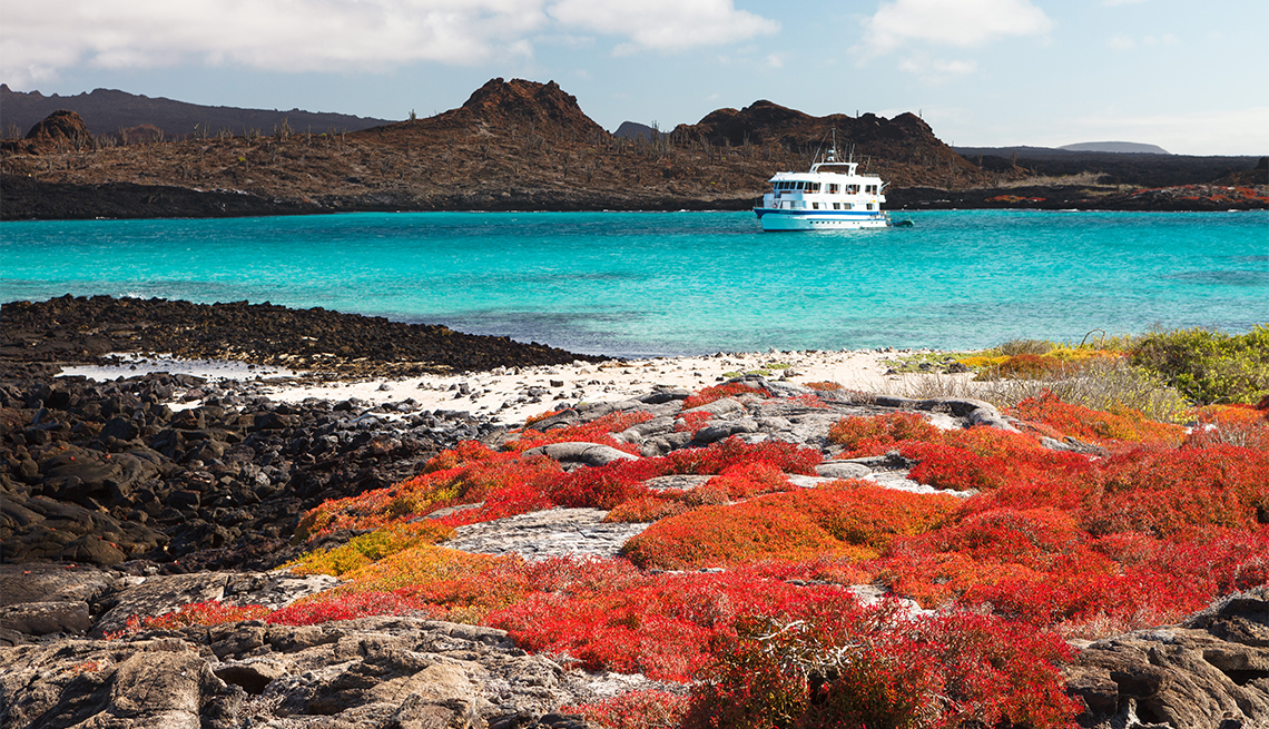 item 11 of Gallery image - landscape of Isla Santa Fe with red vegetation, turquoise ocean and a cruise ship in the background, Galapagos Islands
