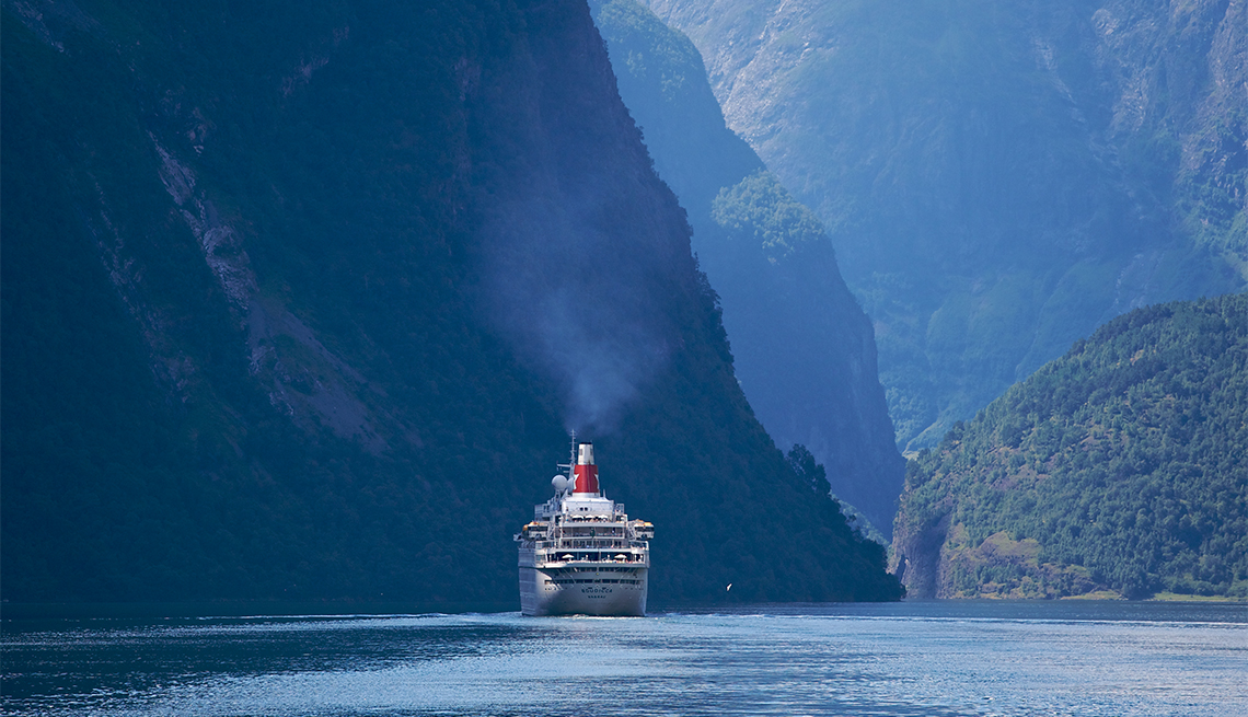 item 3 of Gallery image - cruise liner seen from Expressboat on Sognefjord tour between Lavik and Flam
