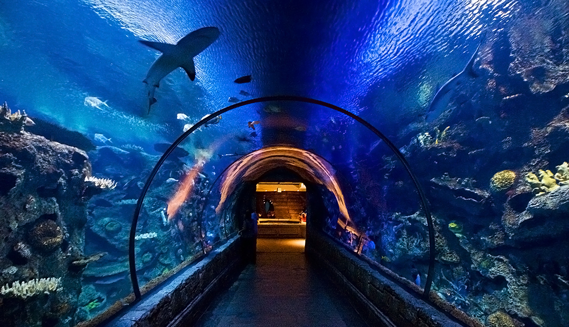 Las Vegas Aquarium Nevada