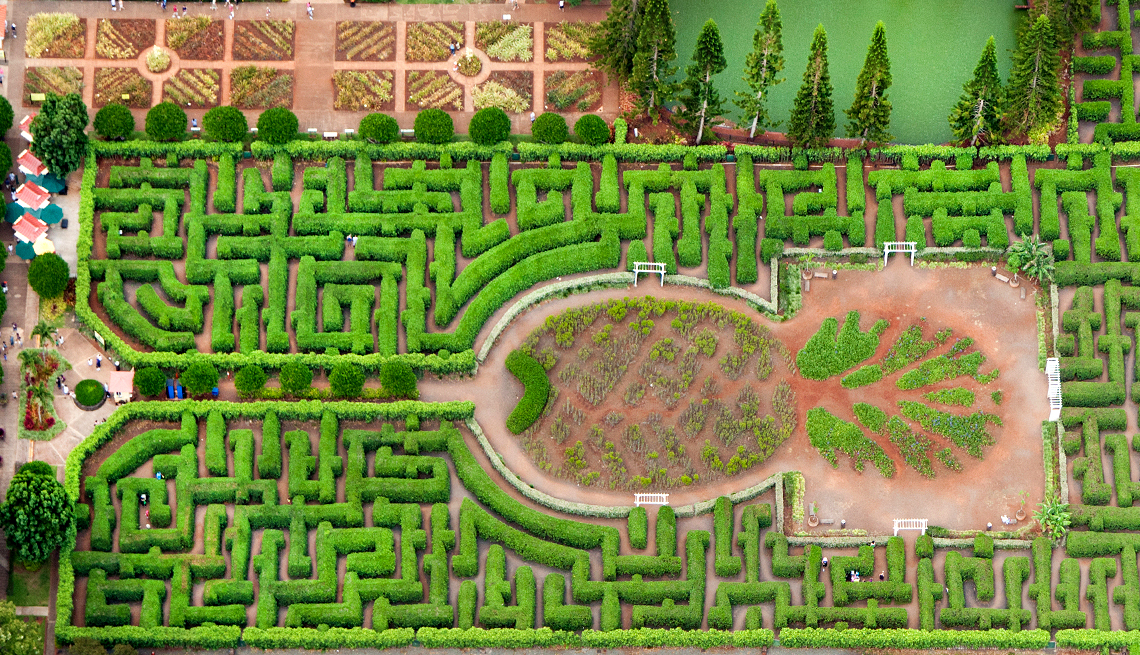 item 8 of Gallery image - Dole Pineapple Maze in Hawaii