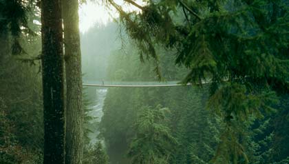 Puente Colgate Capilano en Vancouver, British Columbia – Seis puentes para no perdérselos.