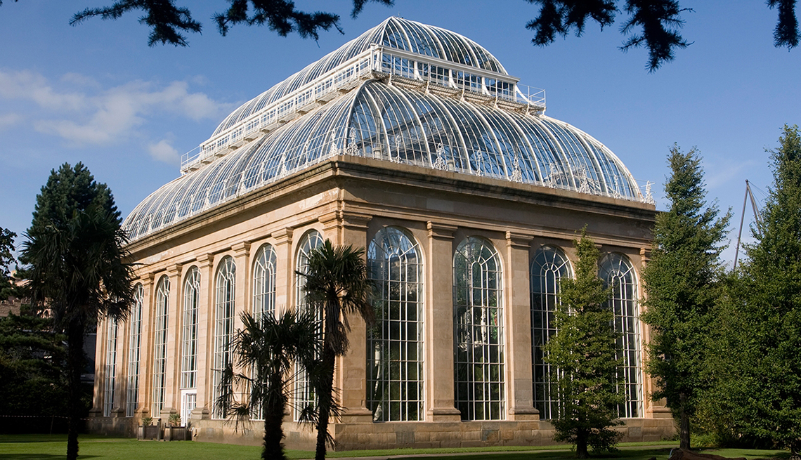 Haz tus planes ahora para diviértete en el otoño - Jardín Botánico de Edimburgo