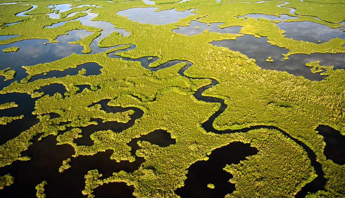 Los Everglades, Florida - 10 maravillas naturales en Estados Unidos
