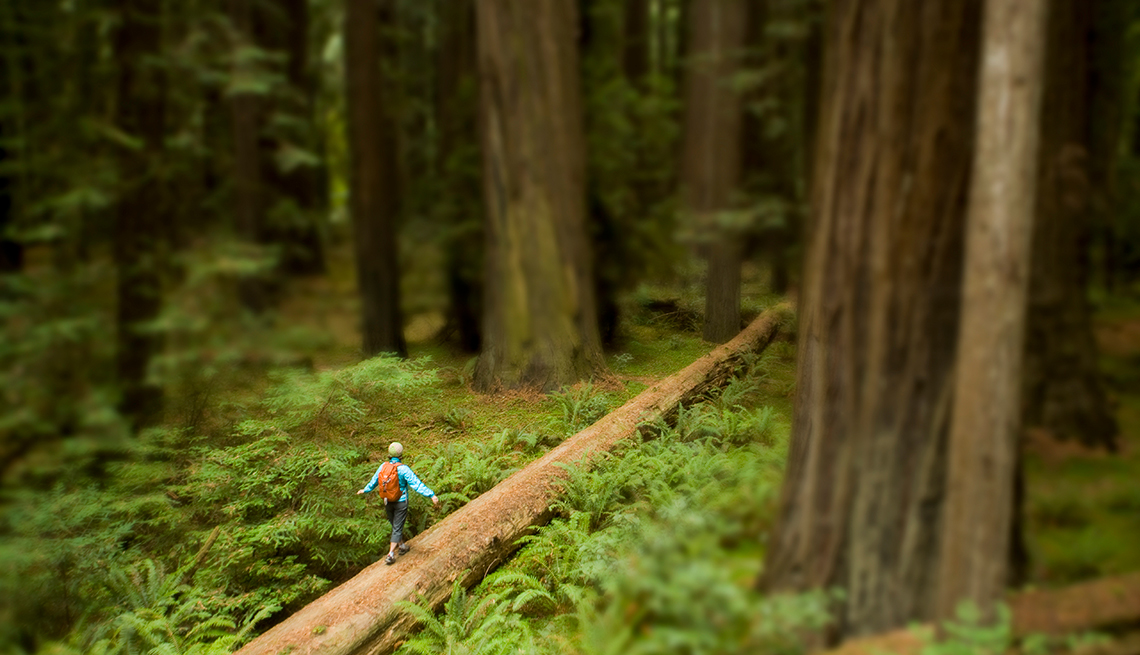 Redwood Coast, California - 10 maravillas naturales en Estados Unidos