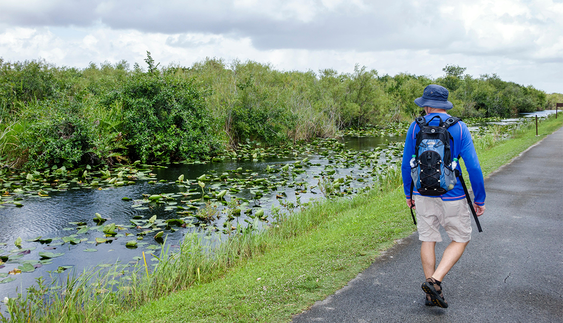 Hombre caminando por un sendero en el Parque Nacional Everglades