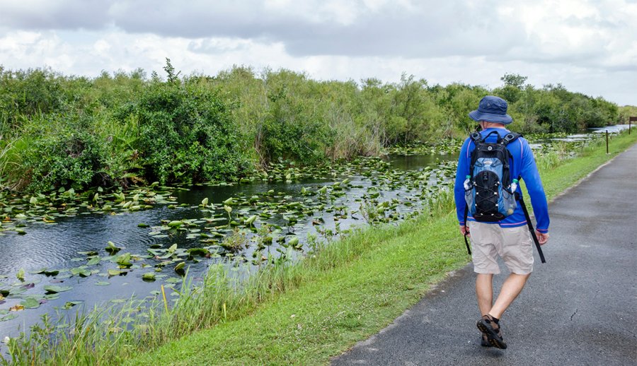 Guide to Visiting Everglades National Park