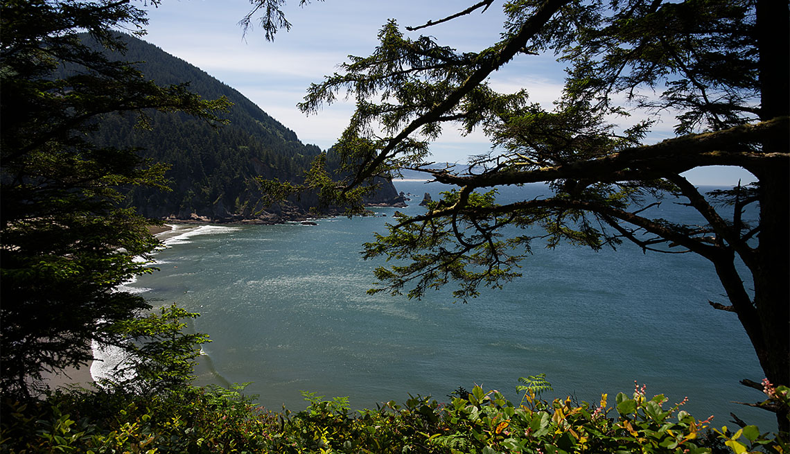 item 1 of Gallery image - Smugglers Cove desde Cape Falcon Trail 