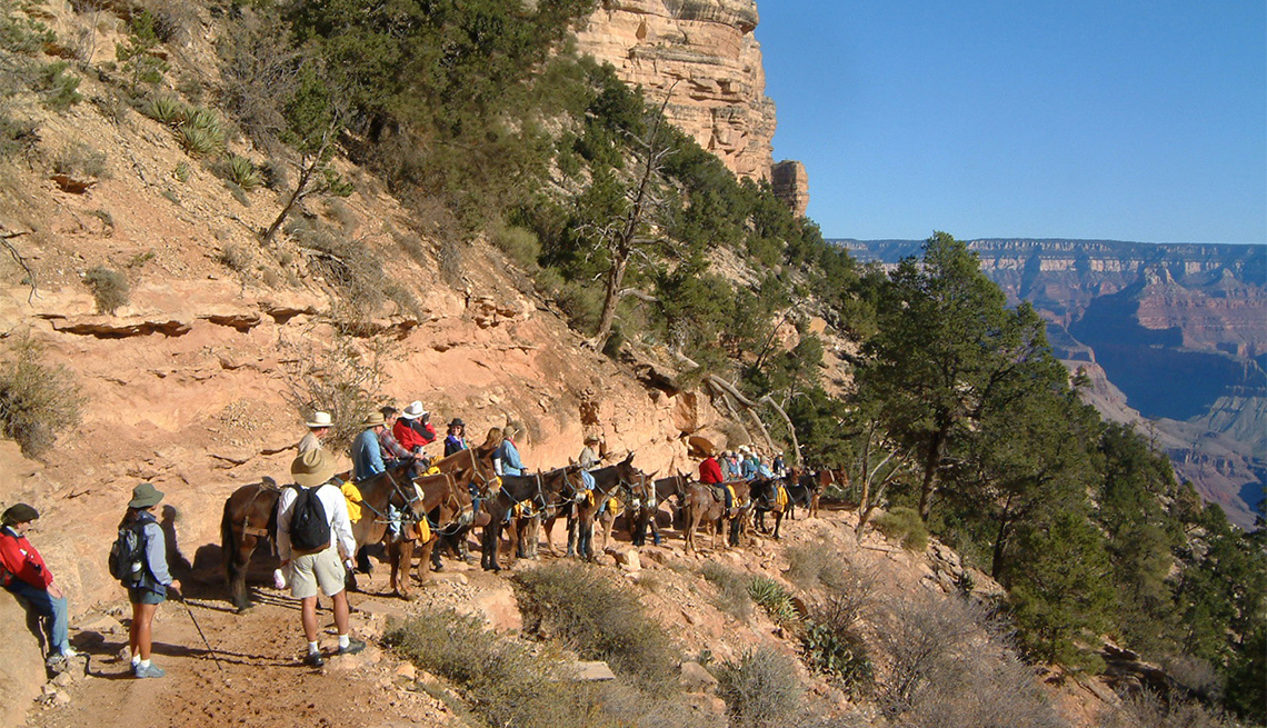 item 5 of Gallery image - Personas montando en mula hacia el Gran Cañón