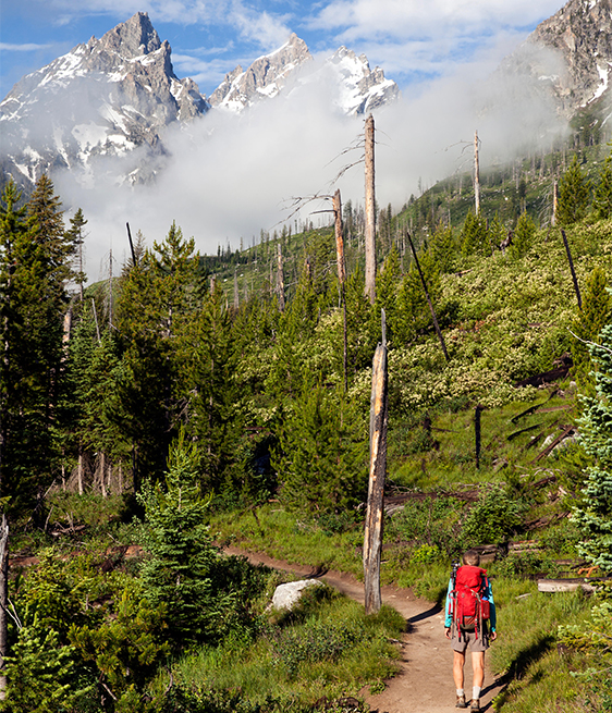 Hiker on the Cascade Canyon Trail in Grand Teton National Park