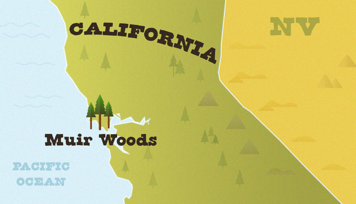 locator map of california with muir woods shown