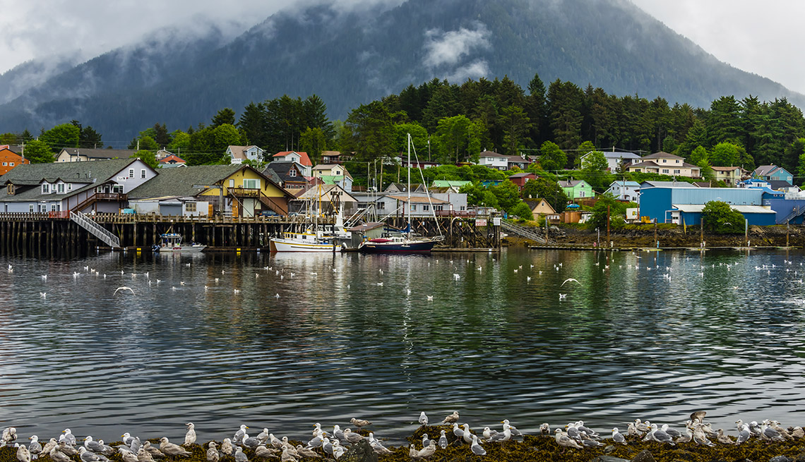 a wide angle view of the harbor in Sitka, southeast Alaska 