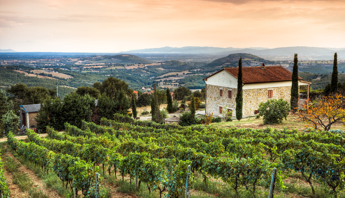 a photo of a farm house above a vineyard in tuscany italy