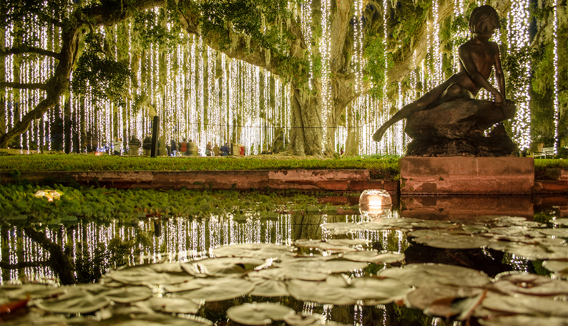 item 6 of Gallery image - Brookgreen Gardens iluminados con luces blancas