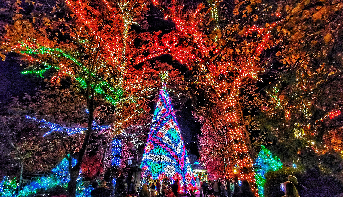 item 3 of Gallery image - Holiday lights at Silver Dollar City