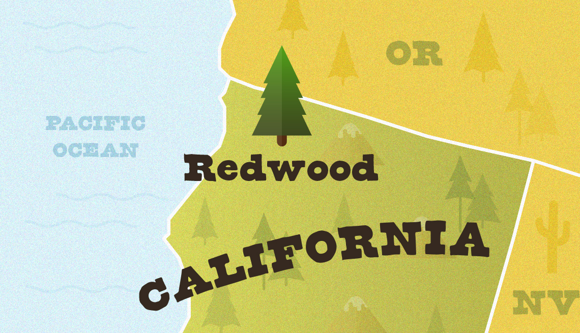 Mapa del norte de California muestra la ubicación de Redwood