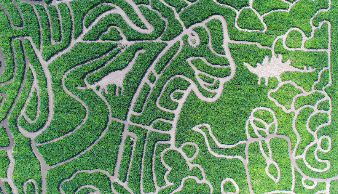 Un laberinto de maíz con una mujer y dinosaurios