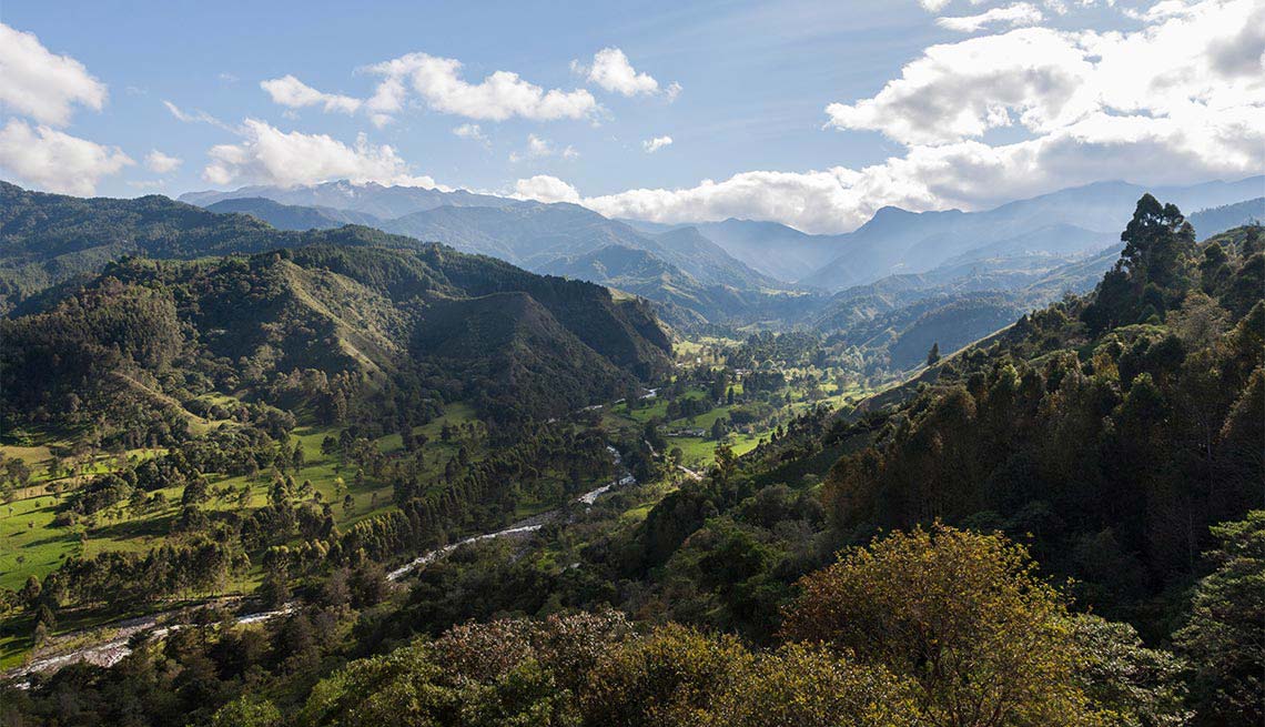 Parques naturales en América Latina - Valle del Cocora, Colombia