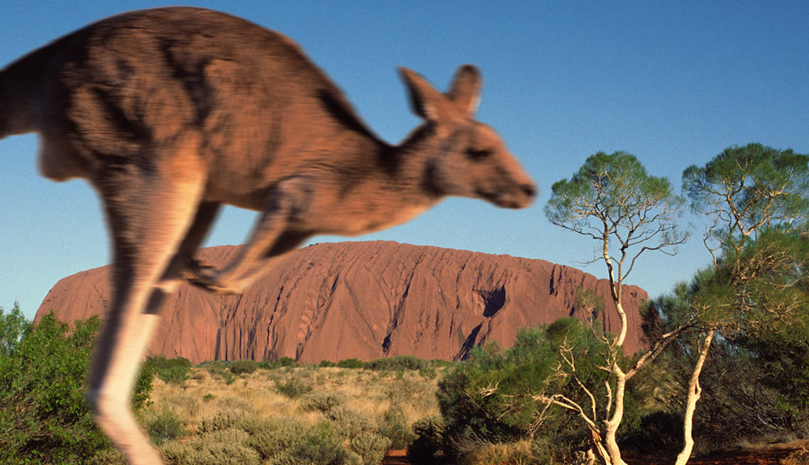 Kangaroo Crossing Desert at Uluru (Ayers Rock) Australia, International Bucket List Destinations