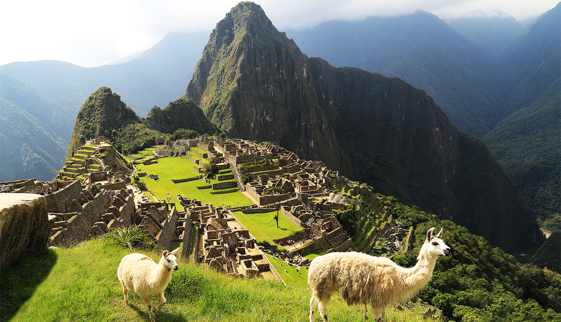 item 9 of Gallery image - Llama en Machu Picchu, Perú