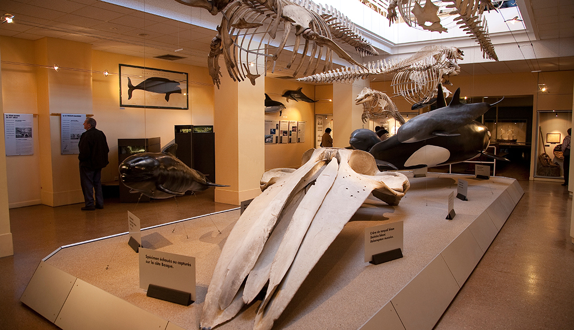 El cráneo de una ballena se muestra con otros artefactos en el Museo de la Mer en Biarritz.