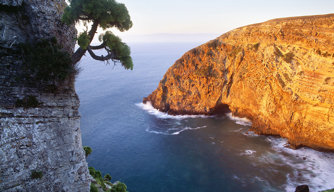 santa cruz island trip