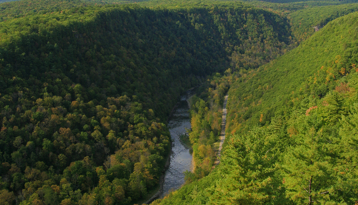 Vista de Pine Creek Gorge, llamado Gran Cañón de Pensilvania