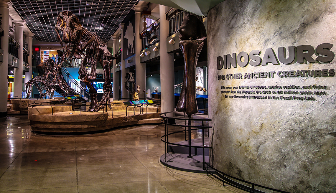Entrada de la Academia de Ciencias Naturales de la Universidad de Drexel a la exhibición de dinosaurios
